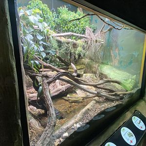 Mixed exhibit 150725