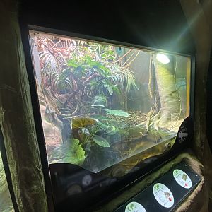 Mixed exhibit 150725