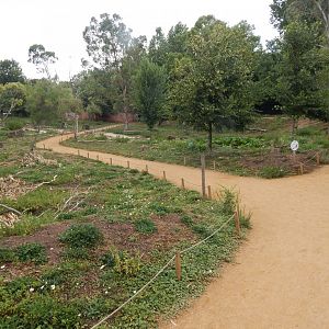 Wallaby Walkthrough 150725