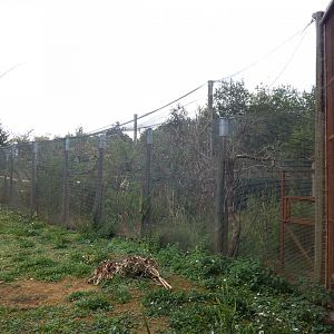 Aviary adjacent to Wallaby Walkthrough 150725