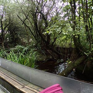 Mixed waterbird exhibit 9.7.25