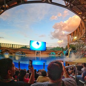 Jul. 2025 - Shamu Stadium - Malia