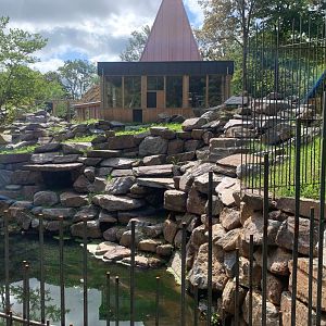 Yellow-footed Rock Wallaby enclosure