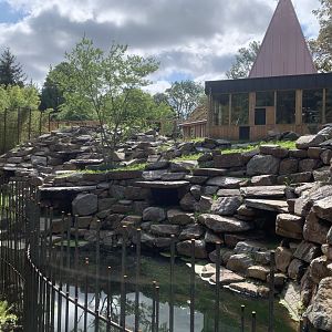 Yellow-footed Rock Wallaby enclosure