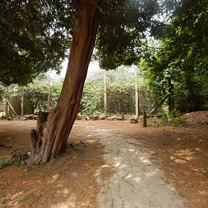 View towards Himalayan monal aviary 150725