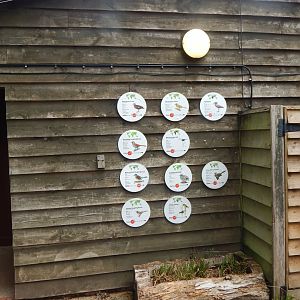 Signage - Walkthrough Aviary in Fur, Feathers & Scales 150725