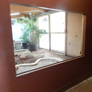 Walkthrough Aviary in Fur, Feathers & Scales 150725