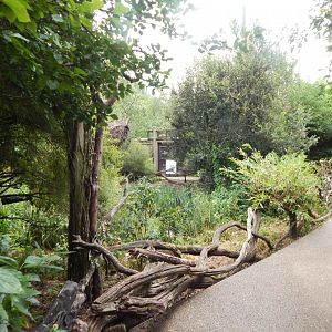 Walkthrough Aviary in Fur, Feathers & Scales 150725