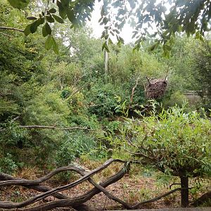 Walkthrough Aviary in Fur, Feathers & Scales 150725