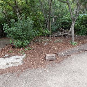 Walkthrough Aviary in Fur, Feathers & Scales 150725