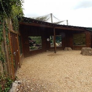 Southern crested caracara enclosure 150725