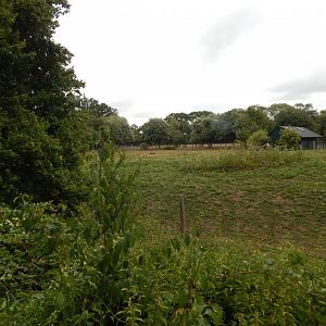 Beisa oryx enclosure 150725