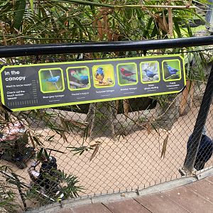 Tropical House signage example 150725