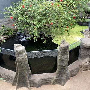 Tropical House 150725