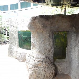 Tropical House 150725