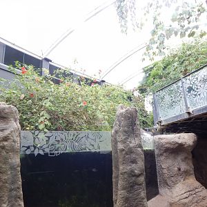 Tropical House 150725