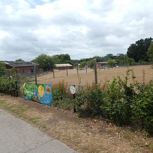 Somali wild ass enclosure 150725