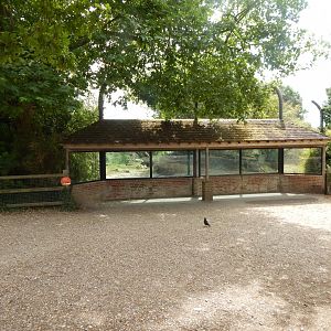 Siberian tiger enclosure 150725
