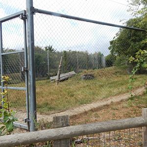 Siberian tiger enclosure 150725
