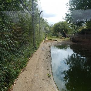 Siberian tiger enclosure 150725