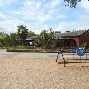 View towards Mongoose exhibits 150725