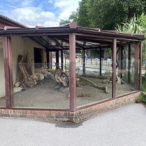 Yellow mongoose enclosure 150725