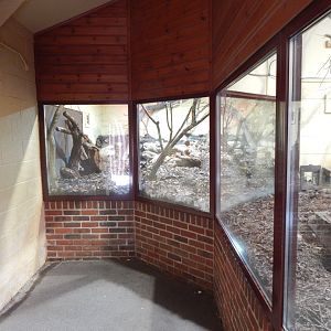 Dark cusimanse enclosure - indoors 150725