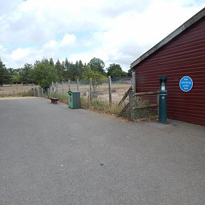 Addax and Saharan dorcas exhibit 150725