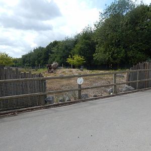 Arabian oryx enclosure 150725
