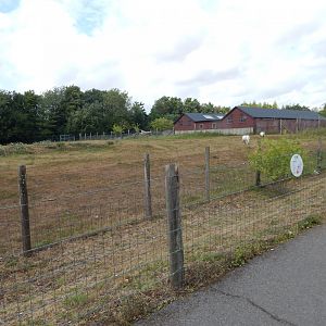 Arabian oryx enclosure 150725