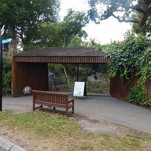Future Nepalese red panda exhibit 150725