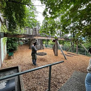 View of the palypark 9.7.25