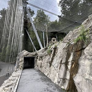 View inside Griffon and Egyptian vulture aviary 9.7.25
