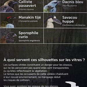 Tropical Greenhouse - new arrivals list