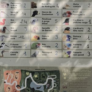 Tropical Greenhouse - free-flying bird list