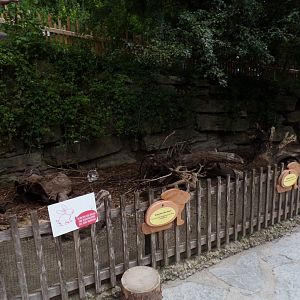 Domestic rabbit enclosure 13.7.25