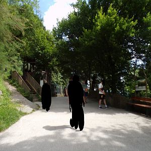 View coming up to the wolf enclosure 13.7.25