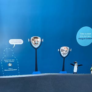 New penguin enclosure