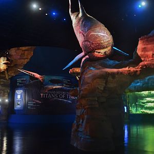 Singapore Oceanarium - Ancient Waters zone