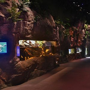 Singapore Oceanarium - Conquering Land zone