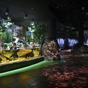 Singapore Oceanarium - Singapore's Coast zone