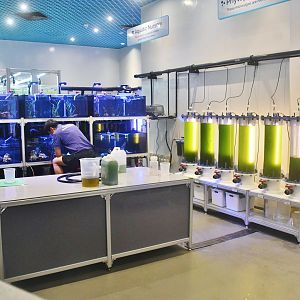 Singapore Oceanarium - Aquarist Lab