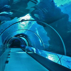 Singapore Oceanarium - Artificial Habitats zone