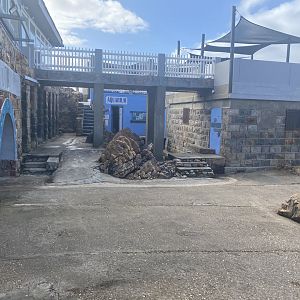 Shark lab mini aquarium entrance