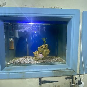 Aquarium 3