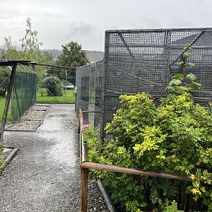 Vogelparadies Birka, Liechtenstein - General View