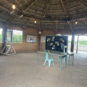 Safari hut