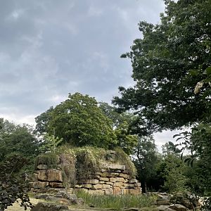 Elephant enclosure of the old park