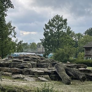Enclosure of the old park