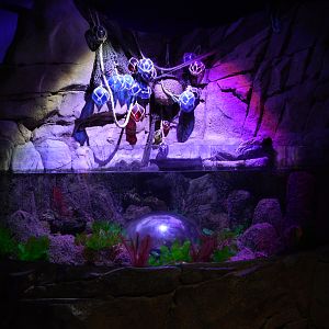 Coldwater Bubble Tank